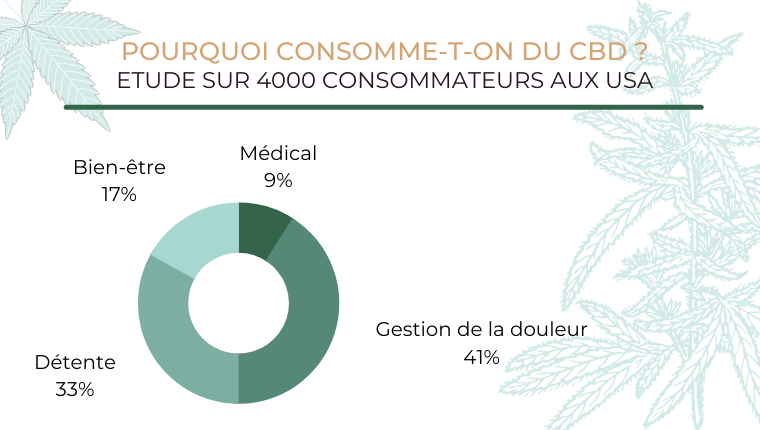 Etude : Pourquoi consomme-t-on du CBD ?
