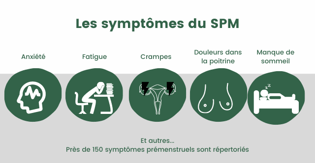 Les différents types de SPM