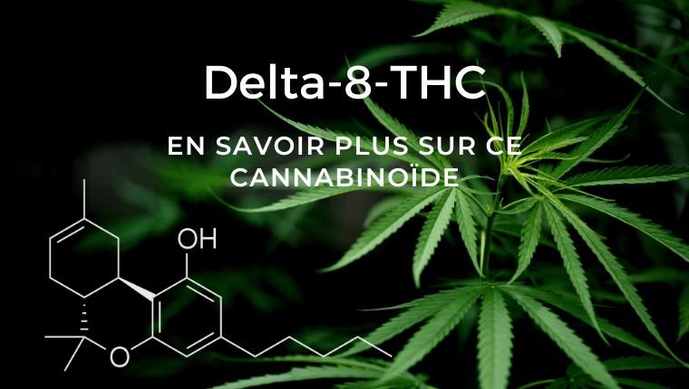 Qu’est-ce que le Delta-8-THC ?