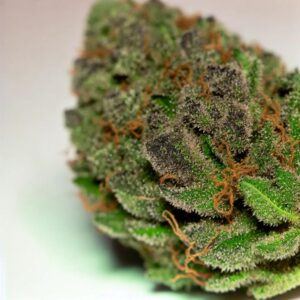 De nouveaux cannabinoides inderdit en 2024