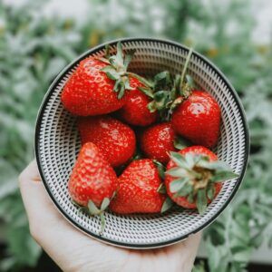 conservation des fraises et cbd