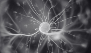 Épilepsie : le cas de l’Epidiolex