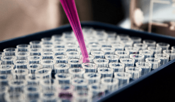 certificat d'analyse de produits à base de CBD