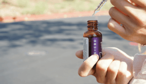 Quel type de CBD choisir quand on débute, sans se tromper ?