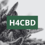 H4CBD