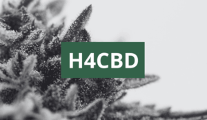 H4CBD