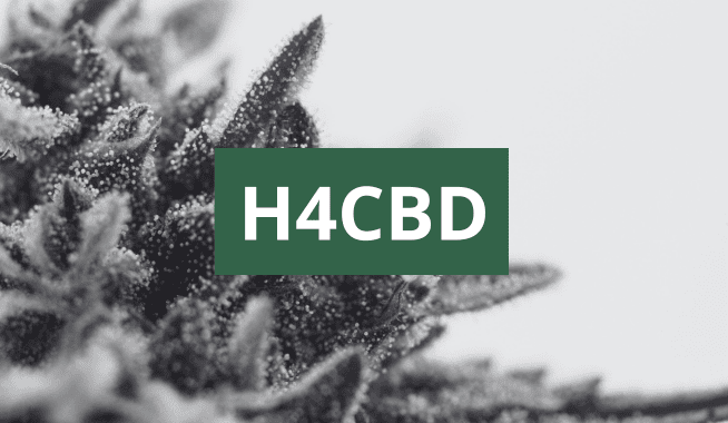 H4CBD