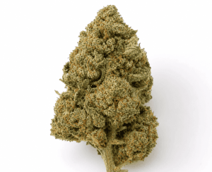 fleur de cannabidiol