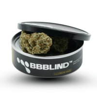 BBBlind capsule 3.5