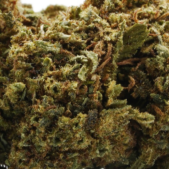 G13 Haze 12% THCV