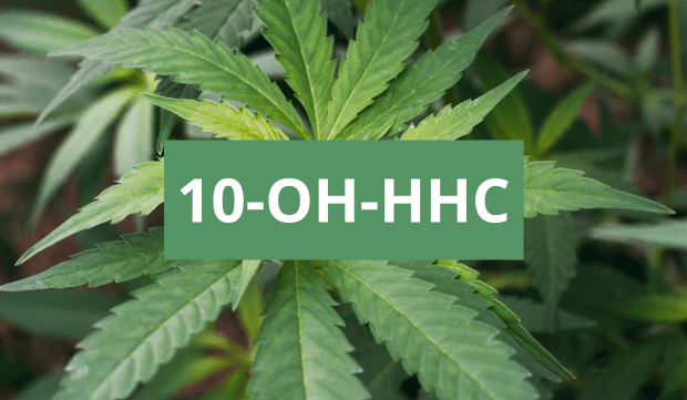 10-oh-hhc