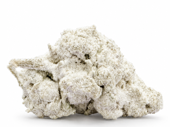Frosted Kush CBD