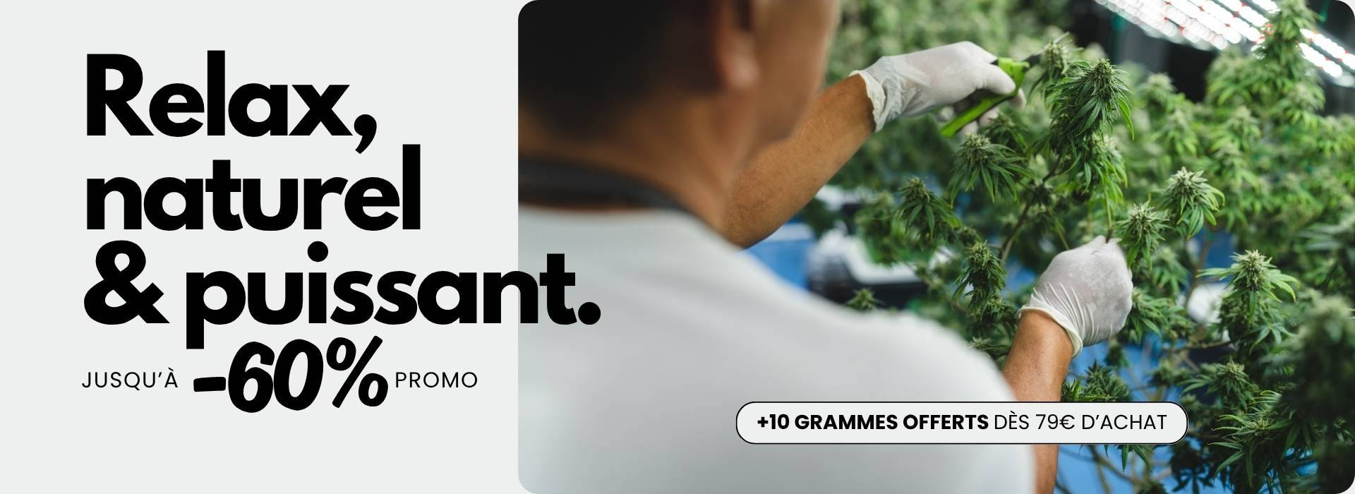 CBD en ligne