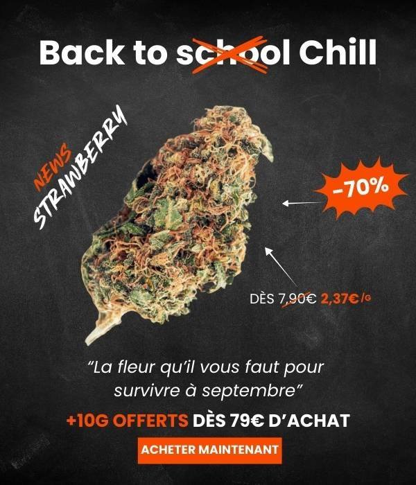 CBD Shop