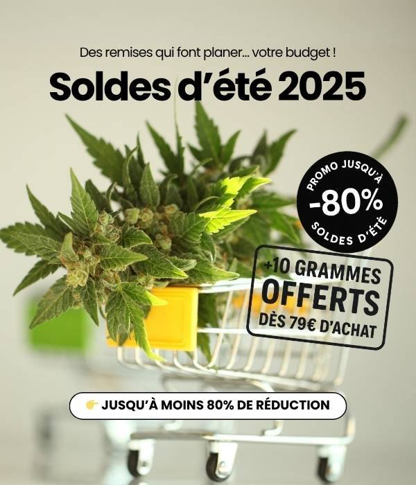 CBD Shop