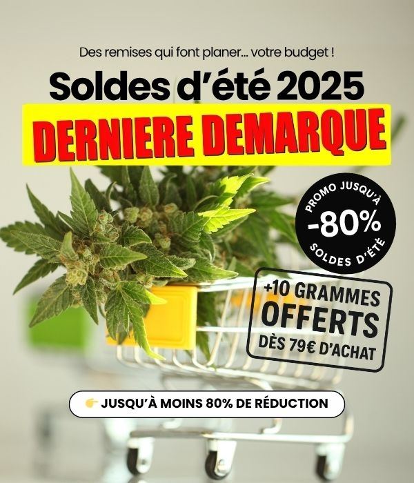 CBD Shop
