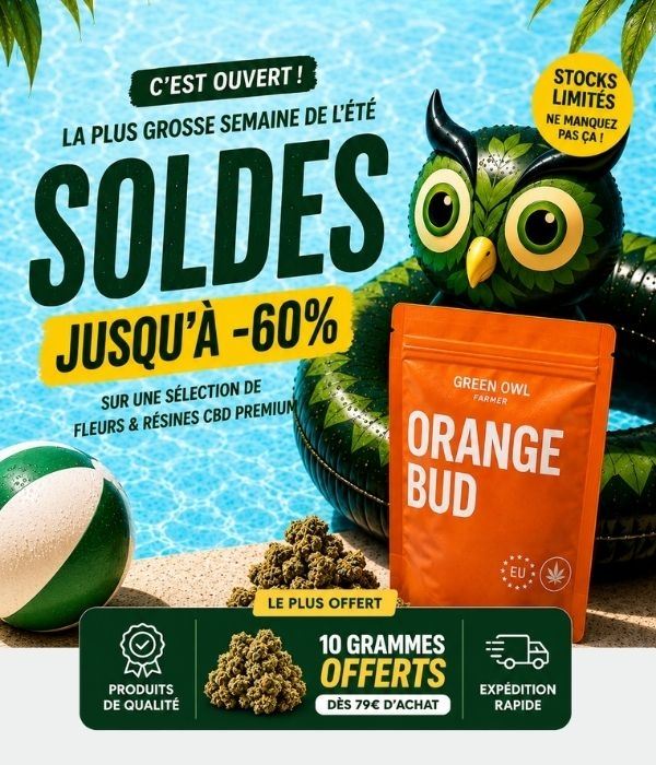 CBD Shop