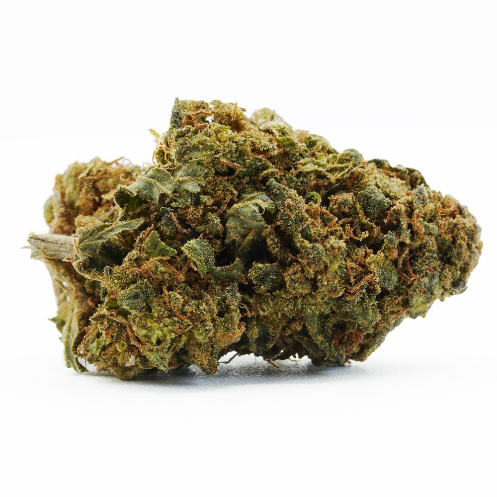 GHOST TRAIN OG 6% THCP