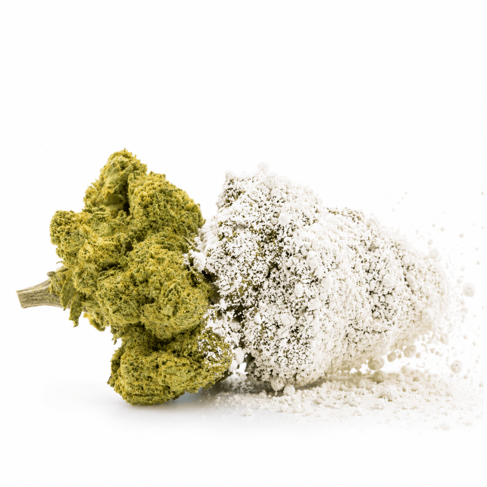Frosted Kush CBD