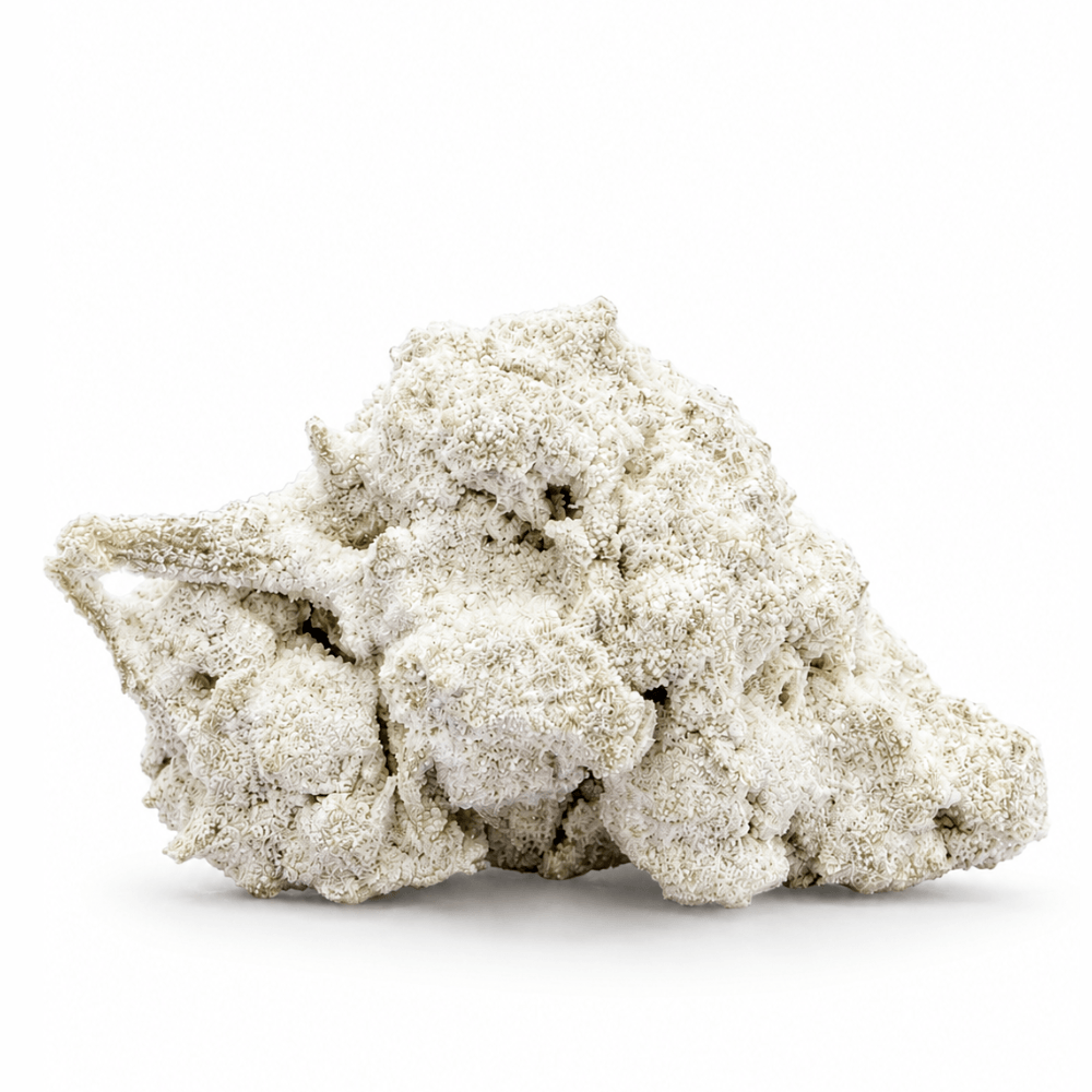 Frosted Kush CBD