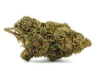 Sour Diesel CBD 16%