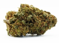 Wapanga Kush 10% THCP