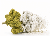 Frosted Kush CBD