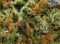 Orange Bud CBD 17%
