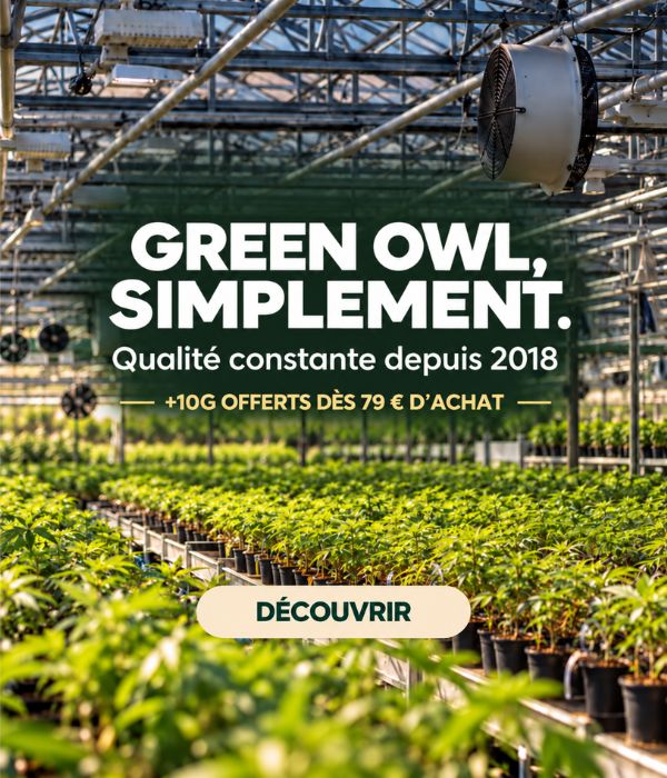 Soldes d'été CBD GreenOwl — jusqu'à -60% sur les fleurs et résines