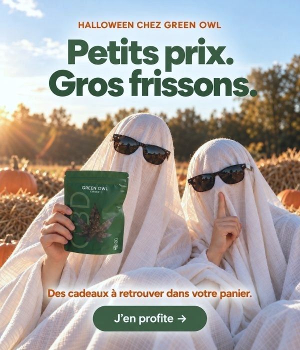 Halloween chez Green Owl — Petits prix, gros frissons. Des cadeaux à retrouver dans votre panier.