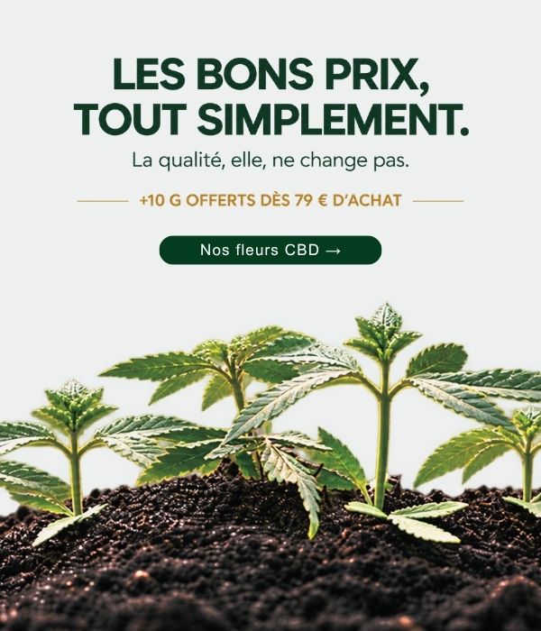 Les bons prix, tout simplement — la qualité, elle, ne change pas, +10 g offerts dès 79 € d'achat — découvrir nos fleurs CBD