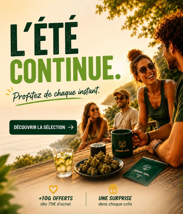Soldes d'été CBD GreenOwl — jusqu'à -60% sur les fleurs et résines