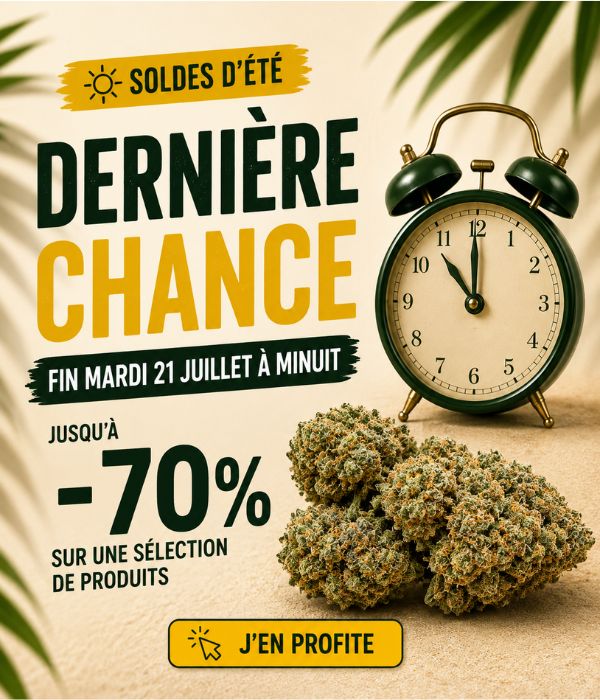 Soldes d'été CBD GreenOwl — jusqu'à -60% sur les fleurs et résines