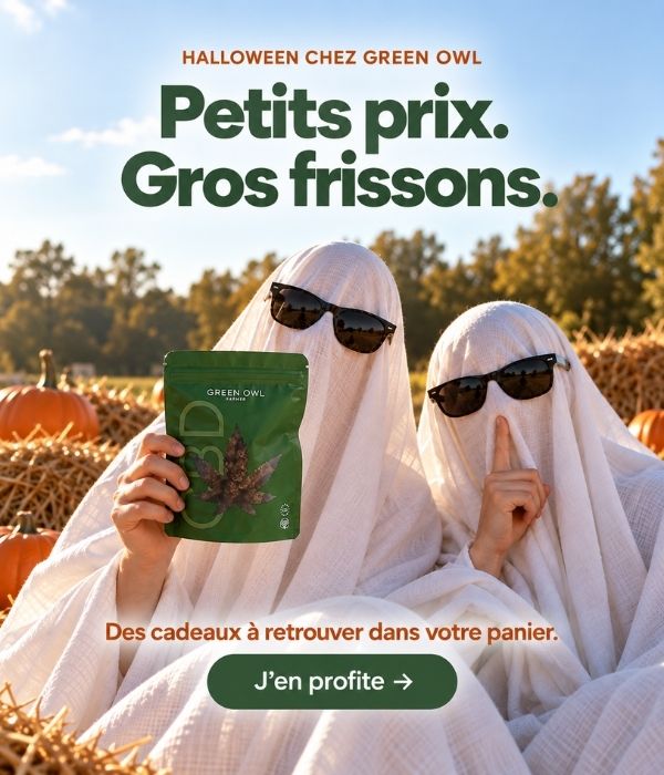 Halloween chez Green Owl — Petits prix, gros frissons. Des cadeaux à retrouver dans votre panier.