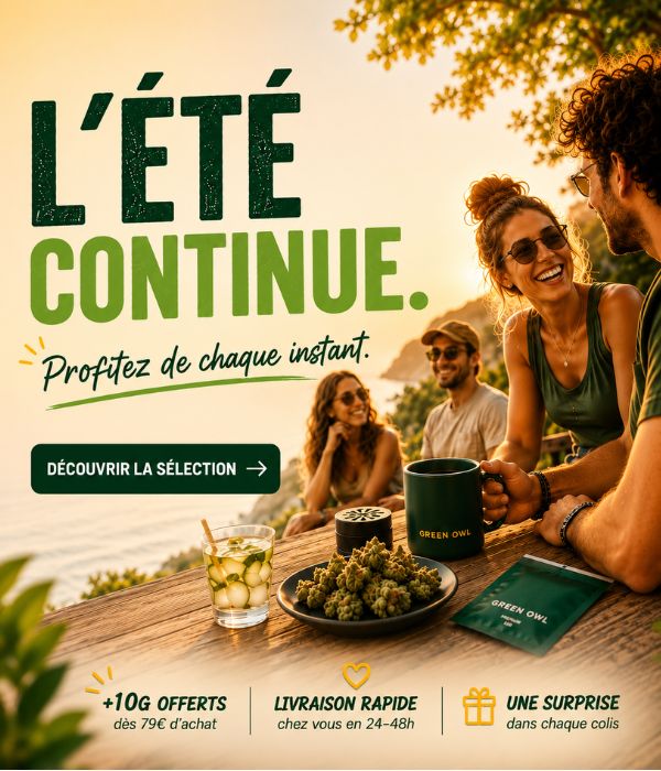 Soldes d'été CBD GreenOwl — jusqu'à -60% sur les fleurs et résines