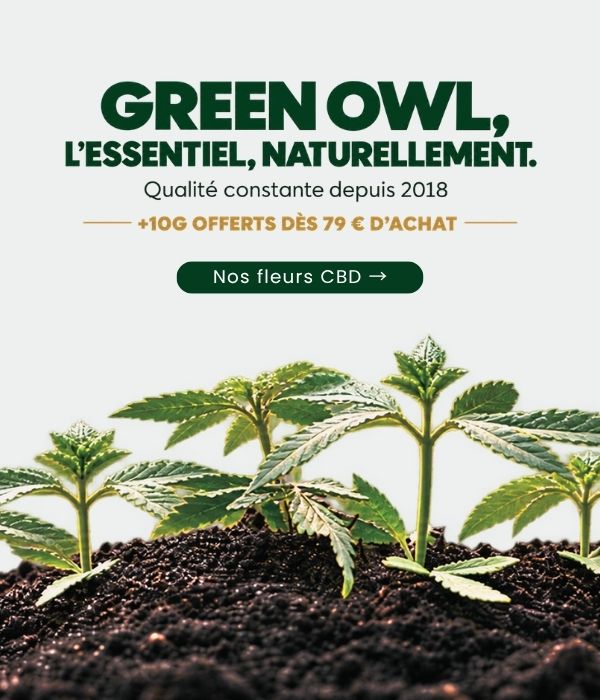 Green Owl, l'essentiel naturellement — qualité constante depuis 2018, +10 g offerts dès 79 € d'achat — découvrir nos fleurs CBD