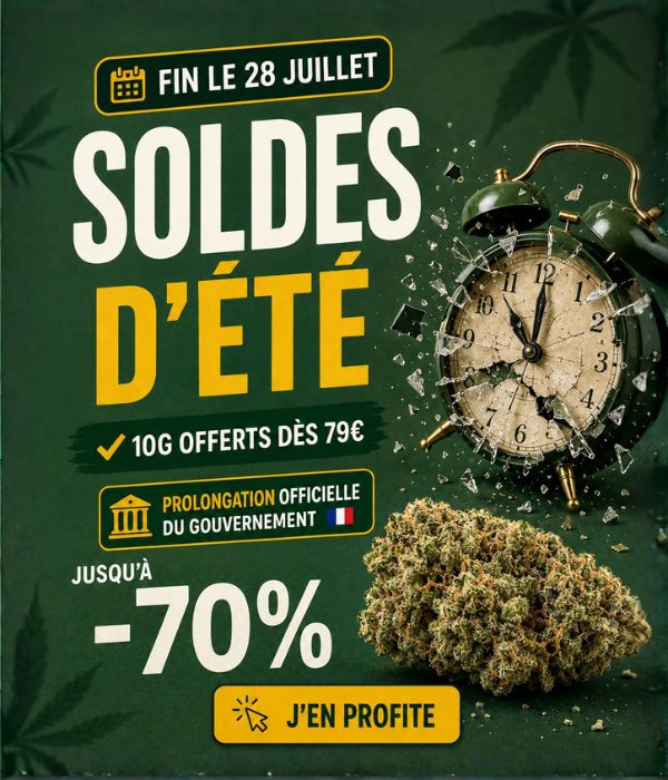 Soldes d'été CBD GreenOwl — jusqu'à -60% sur les fleurs et résines